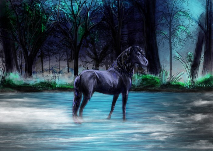 Black horse standing in a mystical forest stream