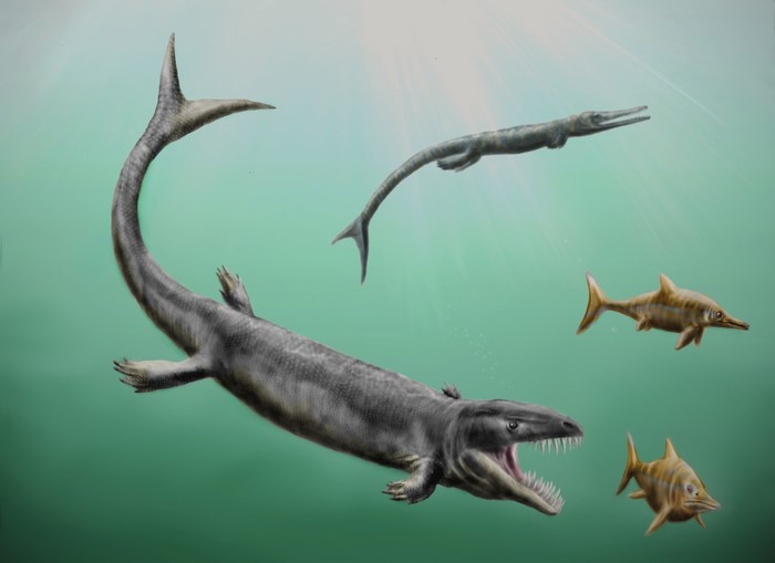 Dinosaur of the jurassic seas, Ancient animals, Underwater Ancient ...
