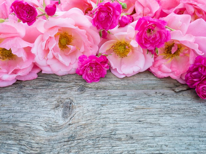 4K Close-up of Pink Roses on Wooden Surface