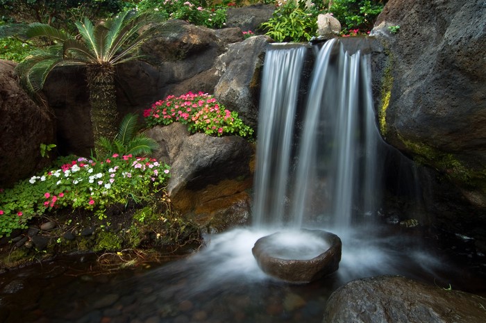 4K Waterfall with Palms and Flowers