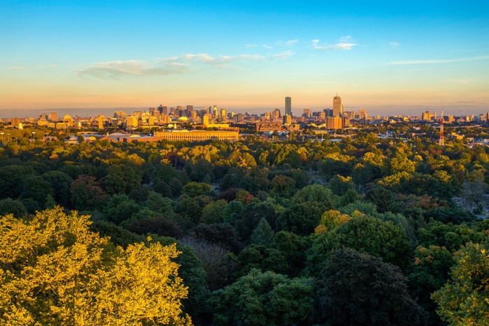 Boston Skyline Over Trees at Sunset