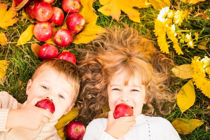 Two children eating apples in autumn