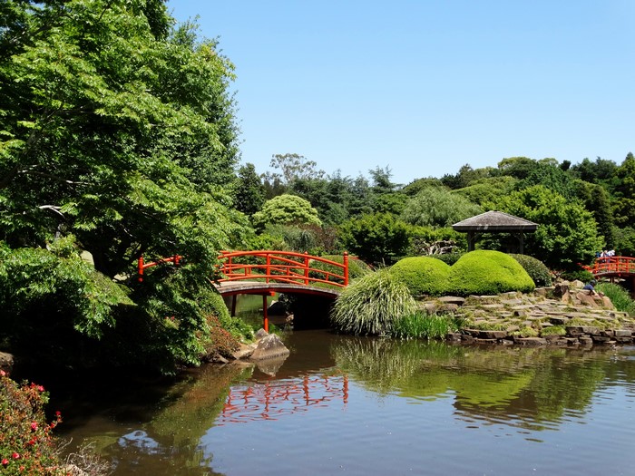 Japanese Garden with Pond and Bridges in Toowoomba, Australia