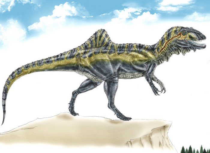 Concavenator corcovatus dinosaur on a cliff