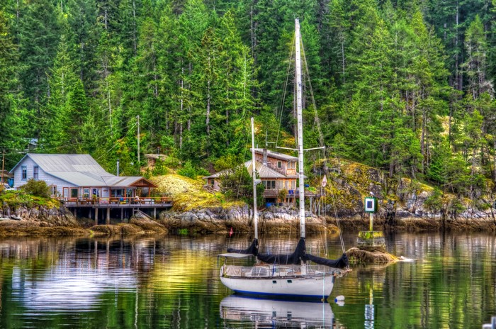 Sailboat docked near houses in a forest by the water