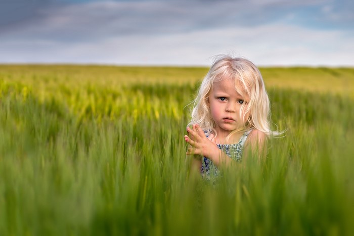 Young girl in a field of wheat
