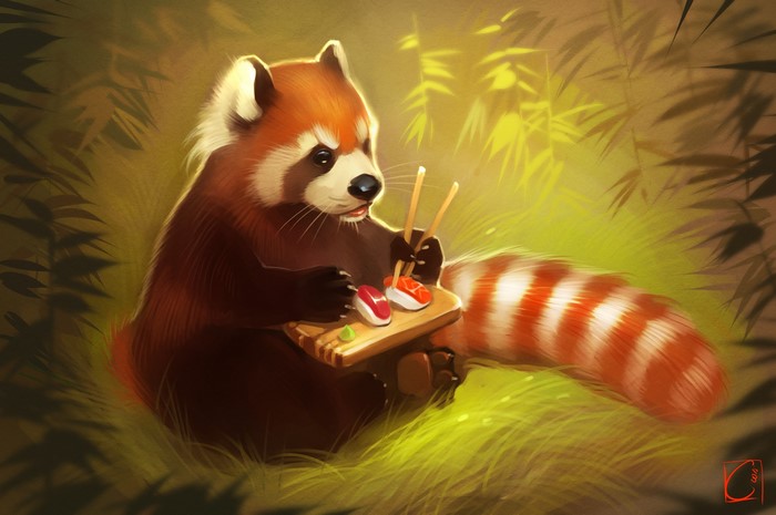 Red panda eating sushi with chopsticks