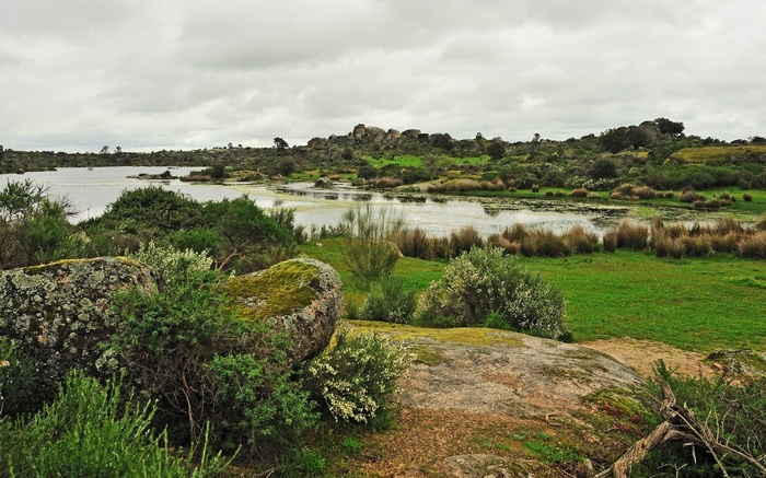 Rocky landscape with a lake and vegetation