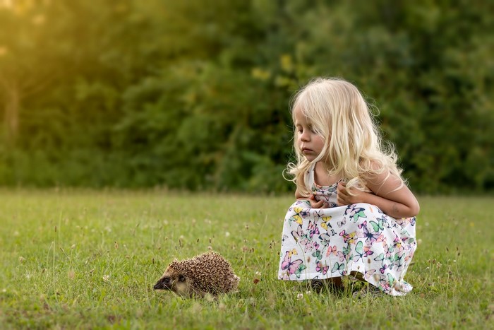 Girl and hedgehog in a grassy field