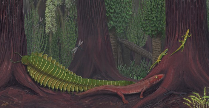 Carboniferous forest with ancient arthropods and amphibians