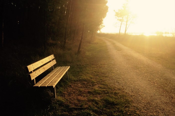 Bench on a path in the fog at sunset