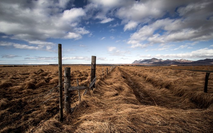 Dry hay field with a wooden fence and mountains