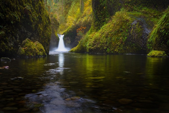 Waterfall in a Mossy Forest with a River