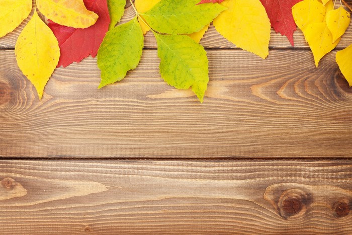 Autumn leaves on wooden planks