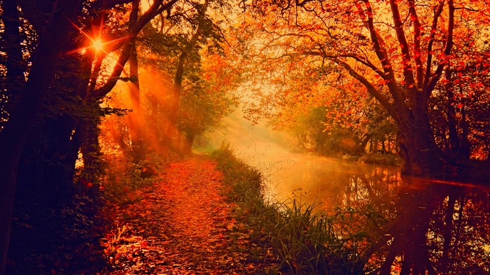4K Autumn Forest Path with River and Sun Rays