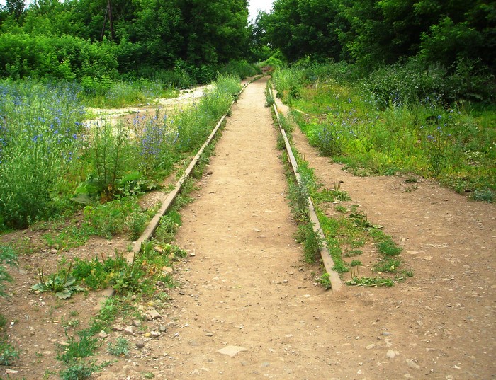 Dirt path with wooden borders and greenery
