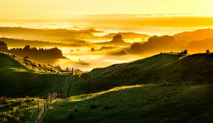 Foggy Golden Sunrise Over New Zealand Hills