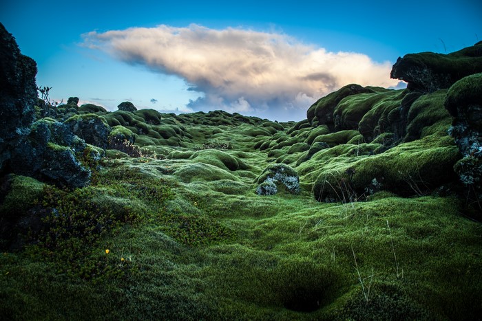 Mossy Lava Field Under Cloudy Sky