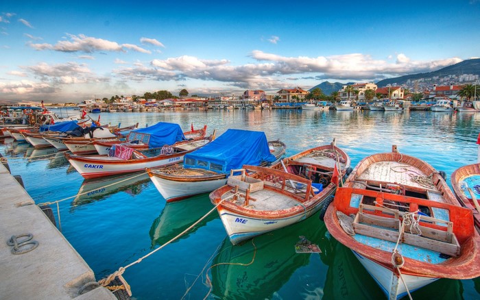 Boats docked in a harbor with a town in the background