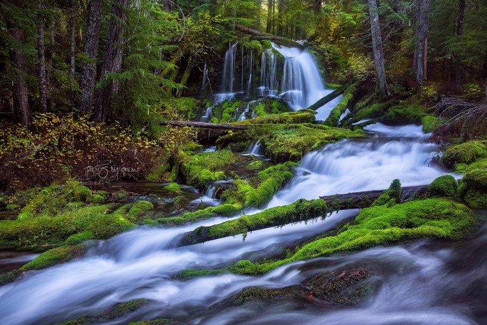 Mossy Waterfall and Stream in a Forest