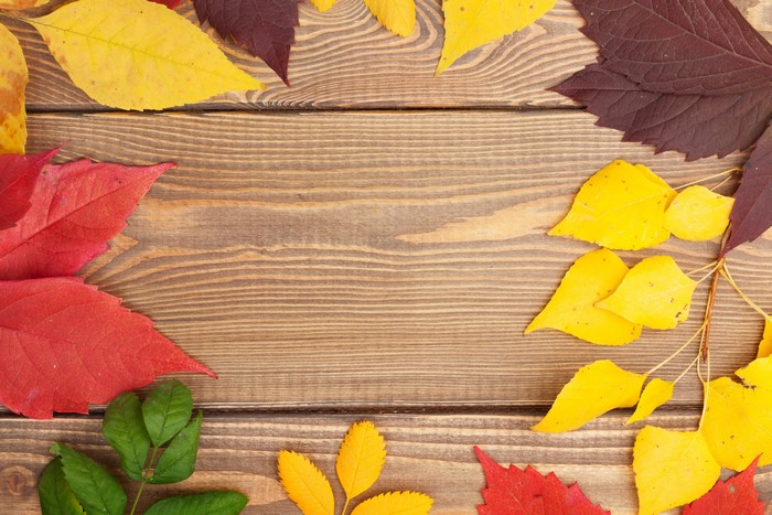 Autumn leaves on wooden planks