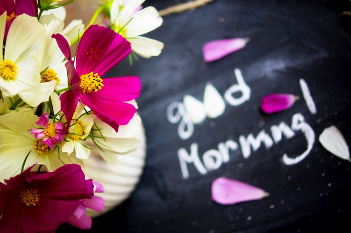 Good Morning flowers in a vase