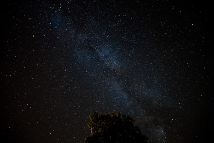 Milky Way galaxy above a tree at night
