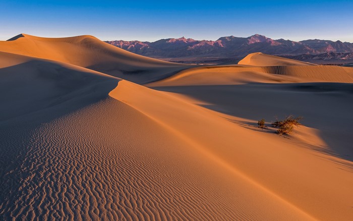 Mesquite Dunes in Death Valley National Park