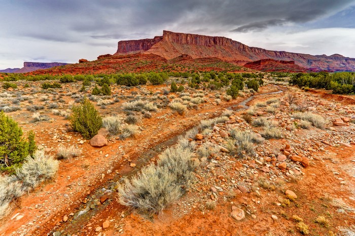 Desert landscape with red rock formations and sparse vegetation in Utah