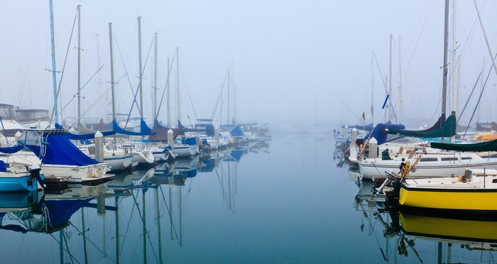 Sailboats docked in a foggy marina