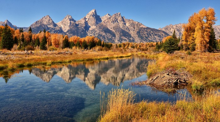 Autumn Mountains Reflected in a Lake