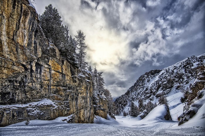 Snowy mountain pass with rocky cliffs and pine trees