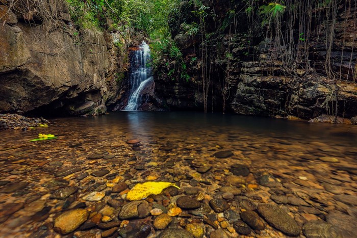Waterfall cascading into a rocky pool with stones and leaves