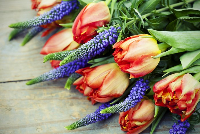 Tulips and blue flowers on a wooden surface