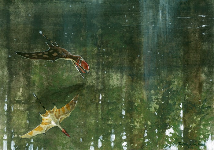 Dimorphodon macronyx flying in a forest
