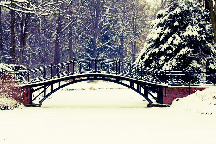 Snowy bridge in a park with trees