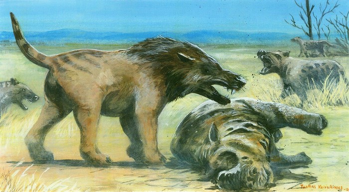 Andrewsarchus and Hyaenodon Ancient Animals Scene