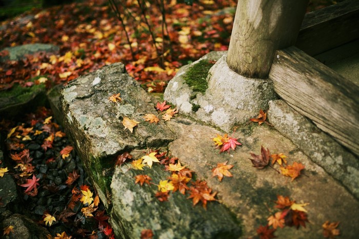 Autumn leaves on stones and wooden structure