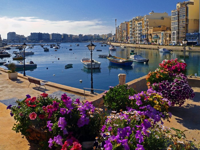 Boats in a harbor with buildings and flowers in St. Julian's, Malta