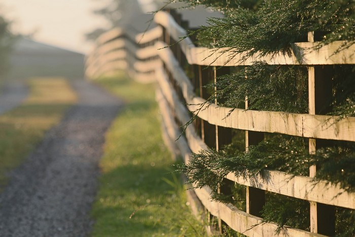 Roads Fence
