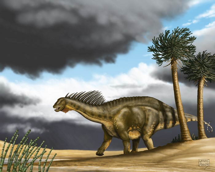 Amargasaurus dinosaur in a prehistoric landscape