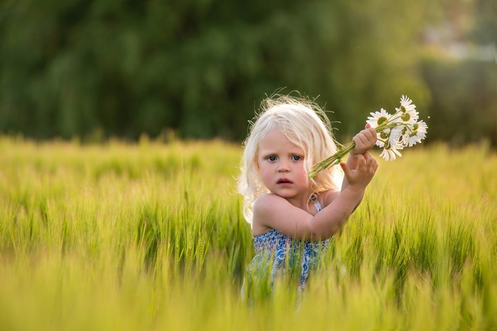 Little girl holding camomiles in a field