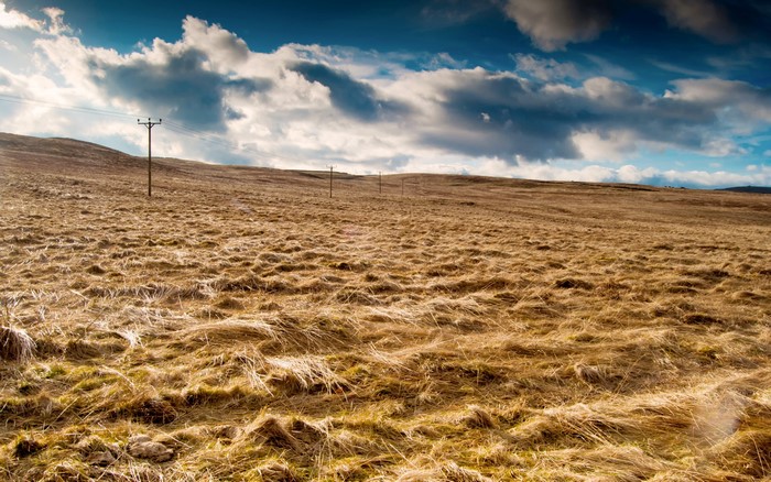Brown grassy field with telephone poles under a cloudy sky