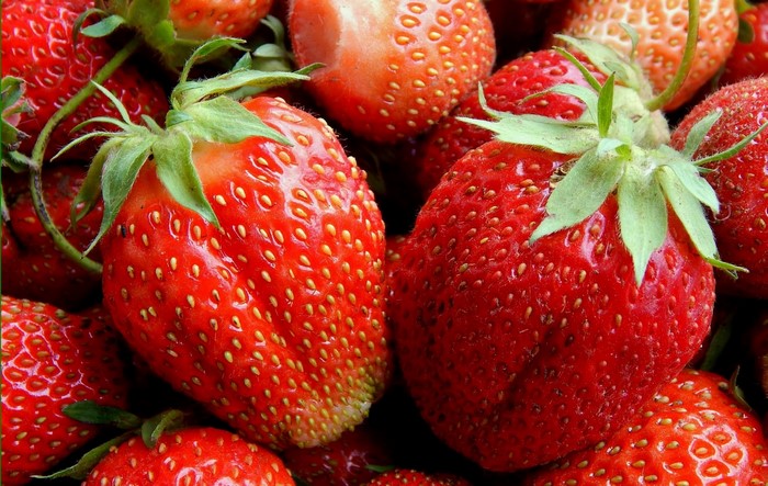 Close-up of fresh red strawberries
