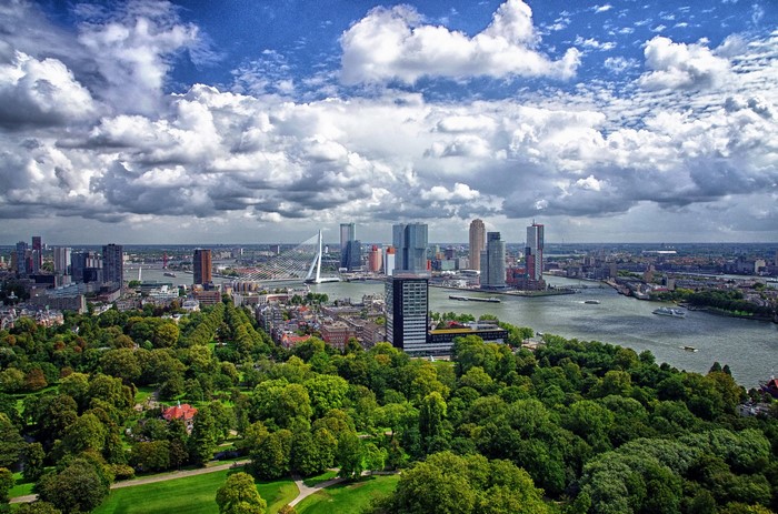 Rotterdam skyline with Erasmus Bridge and park