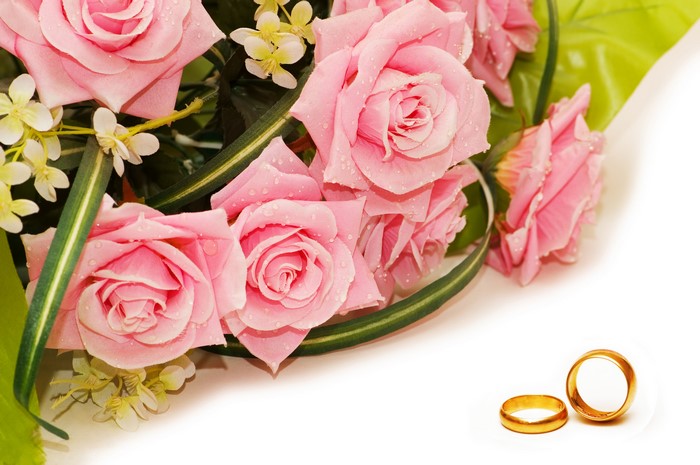 Pink Roses and Wedding Rings