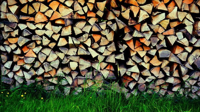 Stack of firewood with green grass