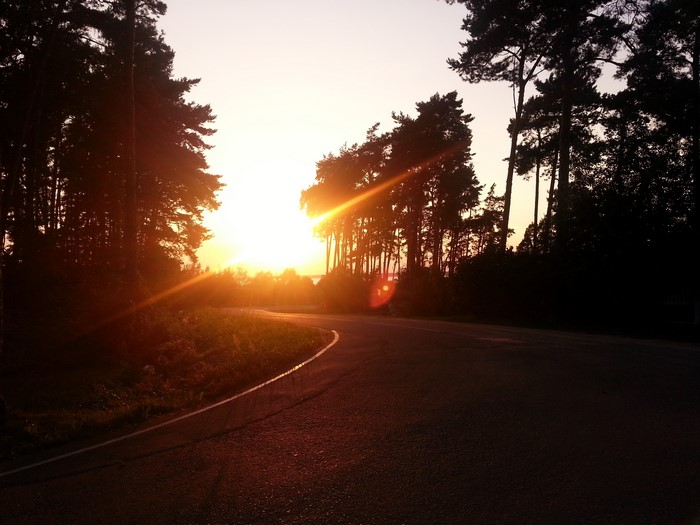 Road through a forest at sunset in Belarus