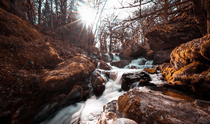Sunlight streams through trees onto a rocky forest stream