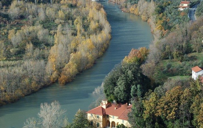 River flowing through a forest with houses on the hill